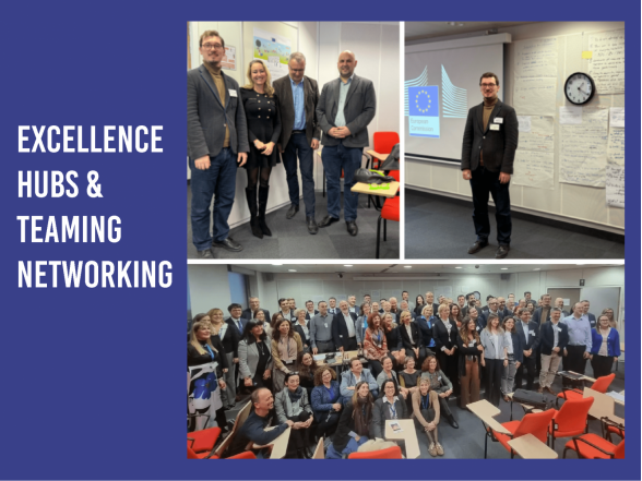 Enhancing research collaboration – participation in the EU TEAMING and Excellence Hubs events